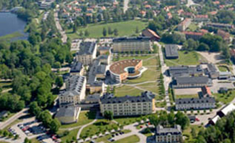 SWE11.jpg