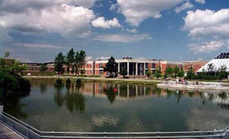 university_1322785669_32_den1.jpg