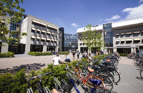 university_1330641338_5_hol5-breda-2.jpg