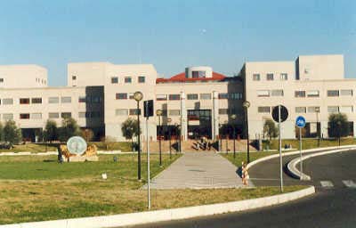 university_1348754666_258_roma-tor.jpg