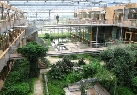 university_1432301928_311_wageningenjpg-c.jpg